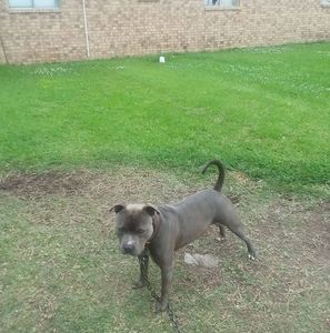 Meet your Posher, Feltus